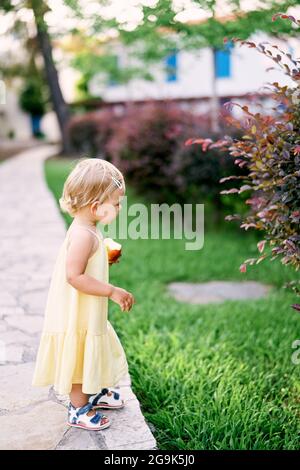 Little girl with an apple in her hand stands on a paved path near a bush in the park. Side view Stock Photo