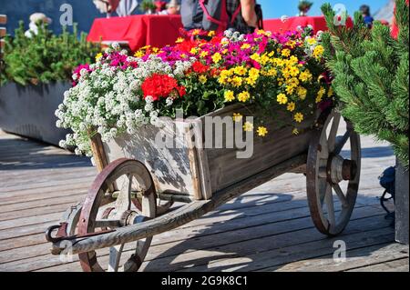 Rustic wooden wheelbarrow filled with colorful flowers Stock Photo