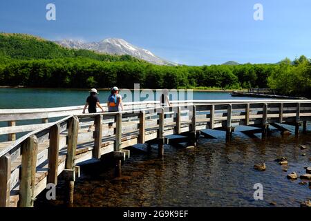 People walk along the interpretive path on Coldwater Lake in Washington State. Mt. St. Helens is in the background. Stock Photo