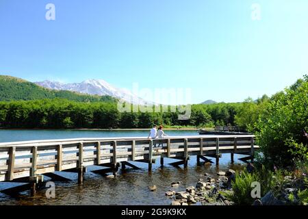 People walk along the interpretive path on Coldwater Lake in Washington State. Mt. St. Helens is in the background. Stock Photo