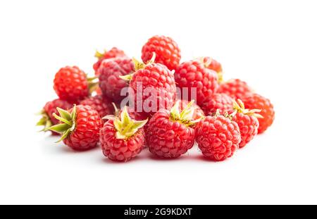 Fresh red raspberries isolated on white background. Stock Photo