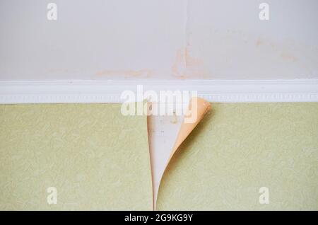 Removing old paper wallpaper from the wall in a room of a residential building Stock Photo
