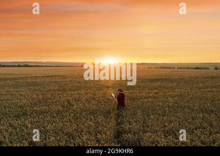 Farmer with digital tablet on a wheat field. Smart farming and digital transformation in agriculture. Stock Photo