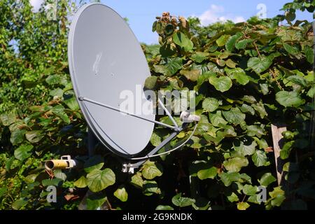 Jungle Dish Antenna Stock Photo