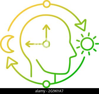 Circadian rhythms gradient linear vector icon. Internal daily clock. Optimize cognitive function for daytime. Thin line color symbols. Modern style pi Stock Vector