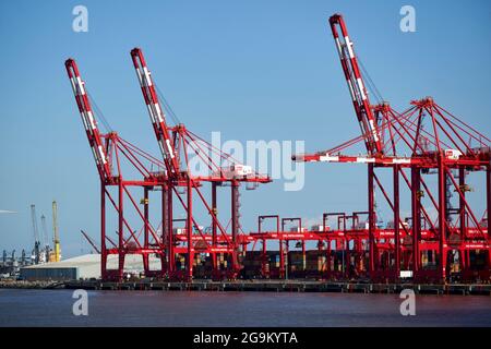 cranes at liverpool 2 container terminal freeport liverpool england uk Stock Photo