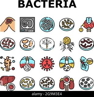 bacteria worms vector collection Stock Vector Image & Art - Alamy