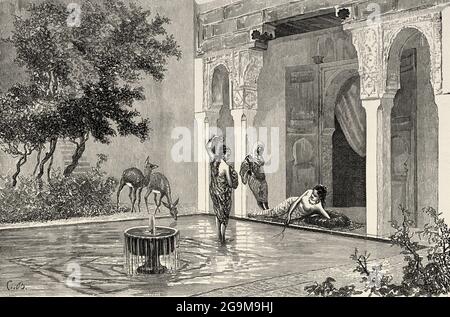 Women of the harem, Morocco, Maghreb. North Africa. Old 19th century engraved illustration from El Mundo Ilustrado 1879 Stock Photo
