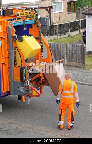 Council dustman worker at back of rubbish bin collection dustcart lorry truck collect green household garden waste in wheelie bin for recycling UK Stock Photo