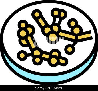 candida fungi albicans color icon vector illustration Stock Vector