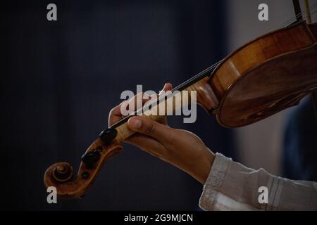 Violinist Stock Photo