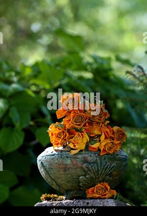 Faded orange and yellow roses in a green bowl Stock Photo