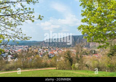 Gorgeous view of vibrant green trees in a bright field with the Rotenfels in the background Stock Photo