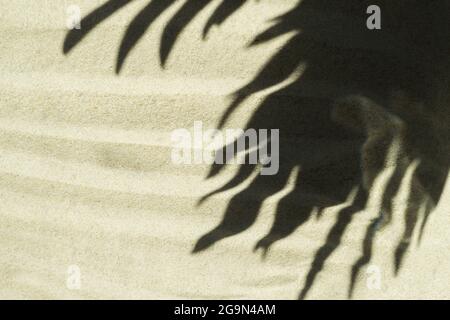 The shadow of palm leaves on beige clean sand. Minimalistic background. Beach vacation and travel concept Stock Photo