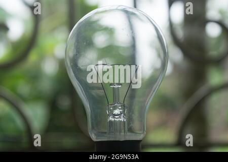 Closeup filament of Older style Incandescent Clear Light bulb isolated from background. Stock Photo