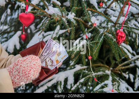 The hands of a woman in mittens hold a purse with dollars at the Christmas tree in a snow park on New Year's Eve Stock Photo