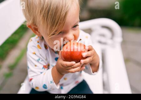 Small child is gnawing an apple on the bench. Portrait Stock Photo