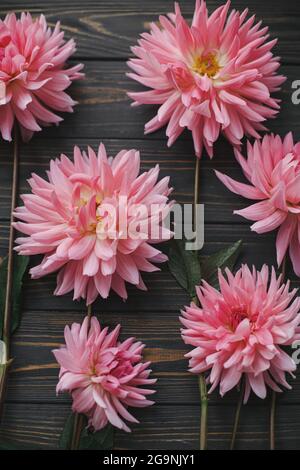 Autumn flowers on rustic wooden background flat lay. Beautiful seasons greeting card. Fresh pink dahlias flowers composition on dark table. Autumn wal Stock Photo