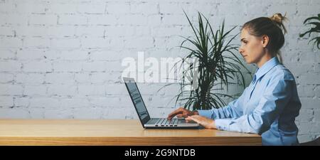 business woman working on laptop in modern office against white brick wall background. banner copy space Stock Photo