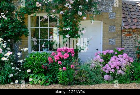 flowers growing outside pretty cottage in cley-next-the-sea, north norfolk, england Stock Photo