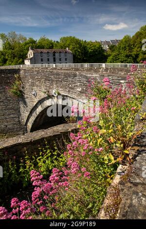 UK, Wales, Ceredigion, Cardigan, old stone bridge across River Teifi Stock Photo