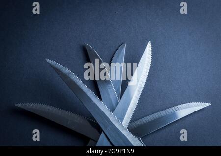 kitchen knife blades on dark gray background, blue toned image, abstract background Stock Photo