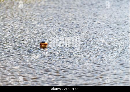 decorative ball floating on the lake, floating lantern in the lake Stock Photo