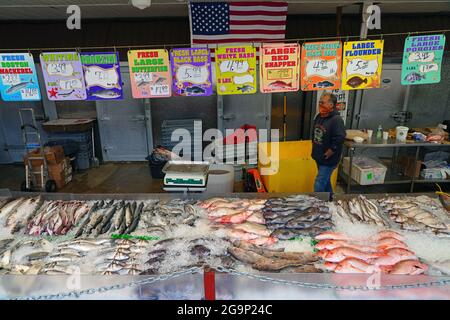 El Mahlawy market: Fish Deals today from 10 October until 14