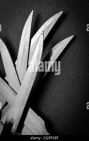 kitchen knife blades on dark gray background, black and white image, abstract background Stock Photo