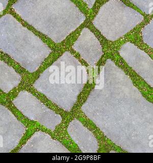 Seamless texture of green grass between the road tiles. The concept of harmonious fusion of the city and nature. Stock Photo