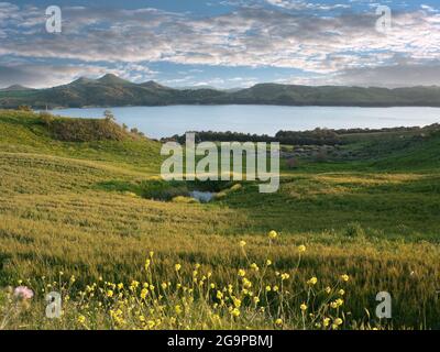 idyllic landscape of yellow flowers, green pasture and blue water of lake and dramatic sky