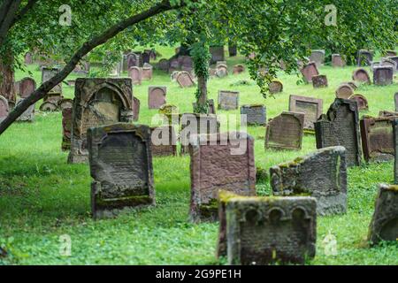 Worms, Germany. 27th July, 2021. Numerous gravestones stand in the 'Holy Sand' cemetery. The oldest Jewish cemetery in Europe has around 2000 graves. For the first time, Unesco designated Jewish cultural assets in Germany as World Heritage Sites, with the coveted award going to the so-called Schum sites of Mainz, Worms and Speyer as a cradle of European Jewry. Credit: Frank Rumpenhorst/dpa/Alamy Live News Stock Photo