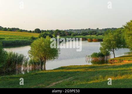 Beautiful rural landscape with meadow and lake at springtime. Fresh meadow landscape. Tranquil evening view over fields with pond in foreground Stock Photo