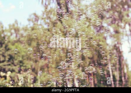 a lot of soap bubbles on the background of trees and blue sky. summer background Stock Photo