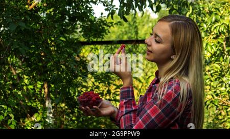 girl holding a bowl with organic product of ripe raspberries on the farm. Selective focus Stock Photo