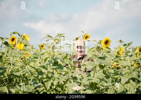 Cheerful senior male farmer in workwear standing in sunflower field in front of camera and using touchpad during work on sunny day Stock Photo
