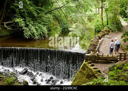 An elderly couple standing by a waterfall during their walk in Skipton Castle Woods Stock Photo