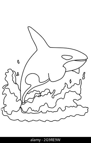 Cartoon orca,killer whale illustration drawing.Line art.Coloring Stock Photo