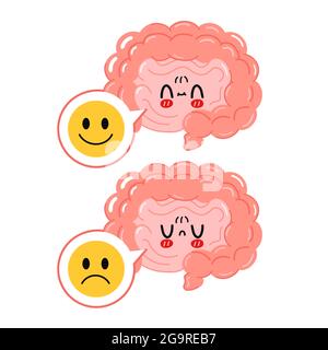 Human intestines in digestive system infographic. Large and small ...