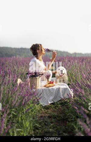 Young woman enjoying picnic with dog on lavender field with bouquet of violet flowers. Beautiful and calmness nature concept Stock Photo