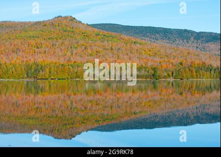 Fall Foliage, Millsfield Pond, Millsfield, New Hampshire, USA Stock Photo