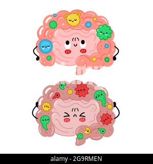 Cute funny intestine organ character. Healthy and unhealthy microflora, good and bad bacterias in intestine concept. Vector cartoon kawaii character illustration icon. Isolated on white background Stock Vector