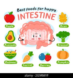 Best foods for happy interstine infographic poster. Cute intestine organ character. Vector cartoon kawaii character illustration icon. Isolated on white background. Nutrition, healthy diet concept Stock Vector