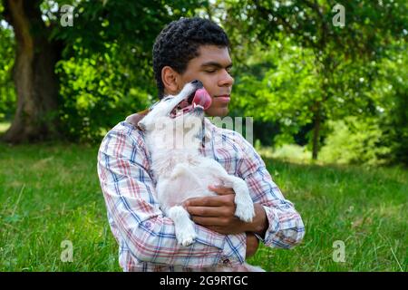 Jack Russell terrier sits in the arms of young man and funny tries to lick him Stock Photo