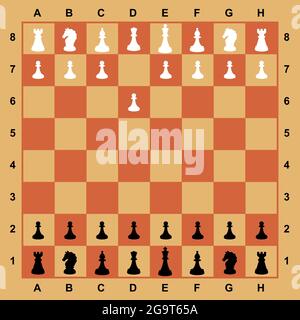 Chess pieces on the board. Vector. Ready-made complete set for the game, mobile application. Professional demo chess. Black and white shapes on checke Stock Vector