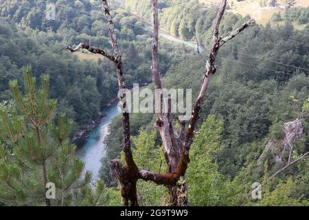 Tara river canyon, Montenegro - July 17, 2021 View from Djurdjevica Tara Bridge in Montenegro, beautiful greenery and river Stock Photo