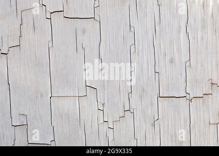 Close up detail of a cracked, weathered plastic sheet. Old worn surface with crazed cracks running through peeling split sections. Abstract background Stock Photo