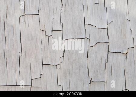 Close up detail of a cracked, weathered plastic sheet. Old worn surface with crazed cracks running through peeling split sections. Abstract background Stock Photo