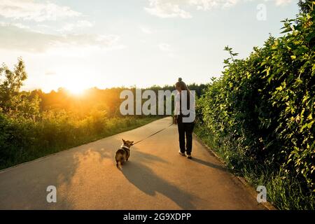 Young happy woman with dreadlocks walk with small dog corgi in park. Back view.