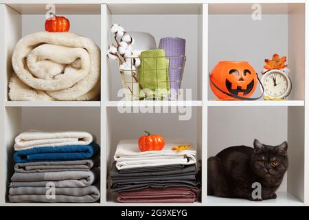 Towels, sheets, bed linen and a cat on the shelf. Textile storage and halloween celebration. Stock Photo